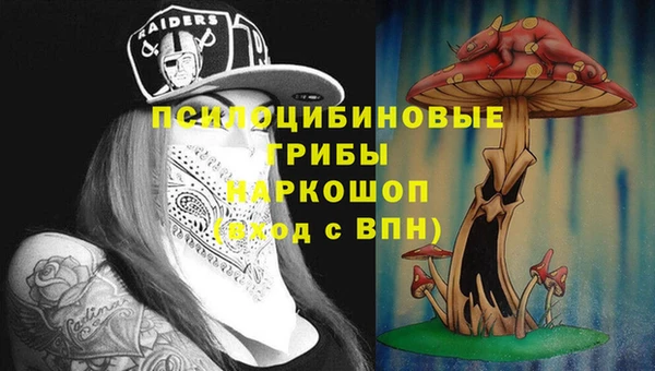 ПСИЛОЦИБИНОВЫЕ ГРИБЫ Володарск