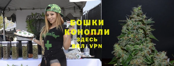 ПСИЛОЦИБИНОВЫЕ ГРИБЫ Володарск