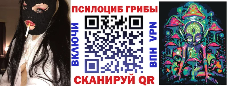 blacksprut рабочий сайт  Шахты  Галлюциногенные грибы Psilocybe  цены  